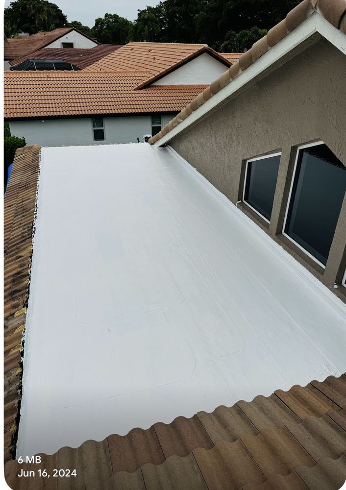 Roofing project