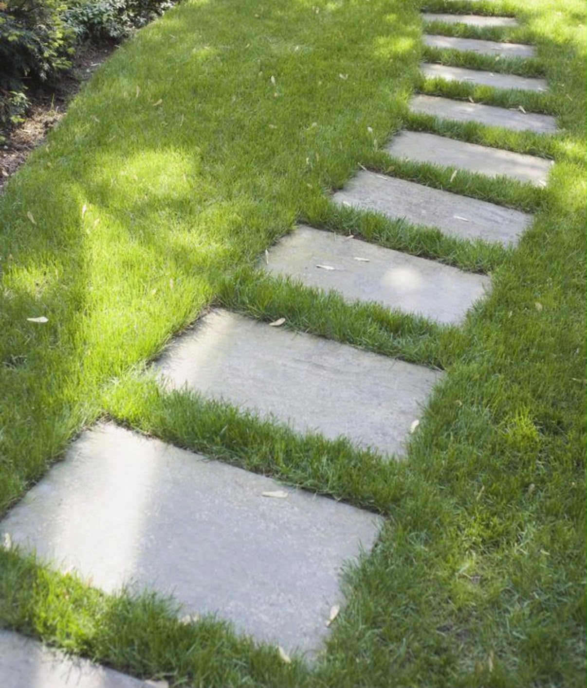 Landscaping project