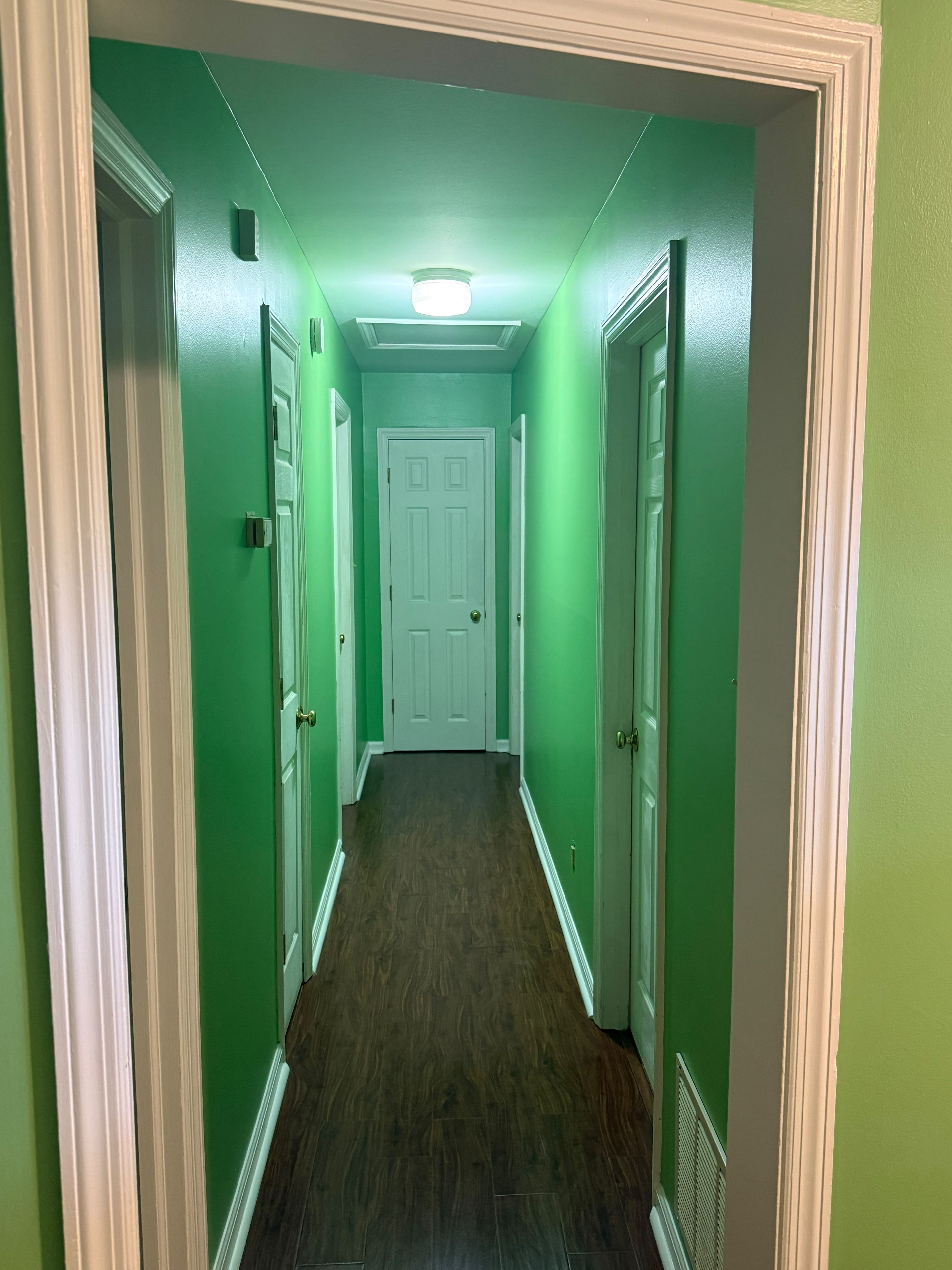 Hallway repainted green