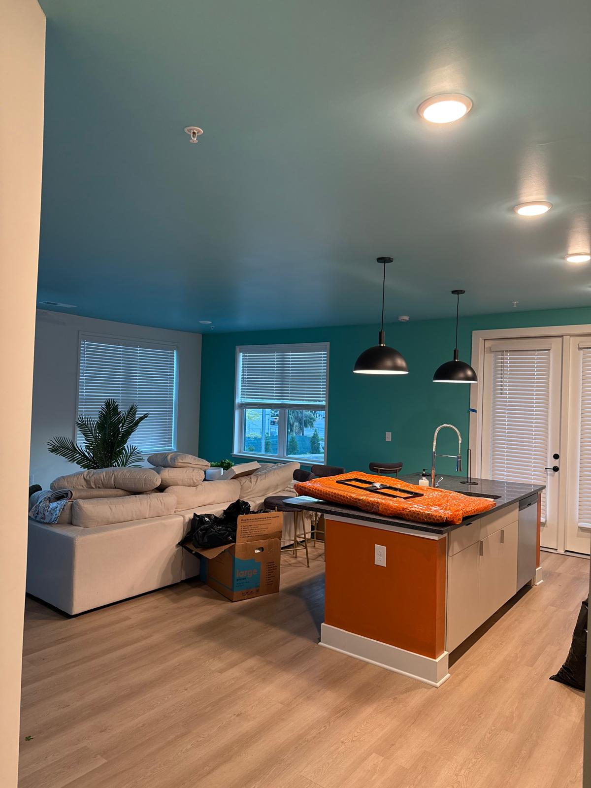 Residential painting in Savannah