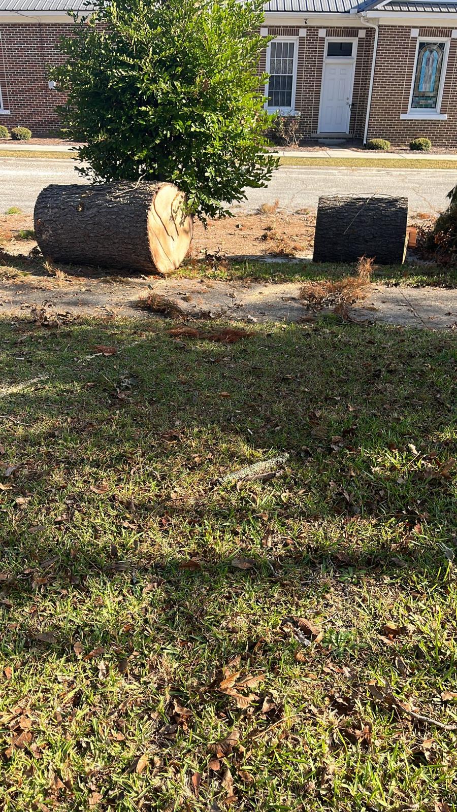 Tree service project